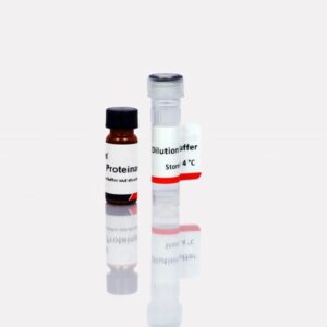 Proteinase K (Recombinant)