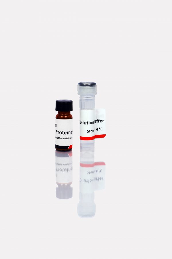 Proteinase K (Recombinant)