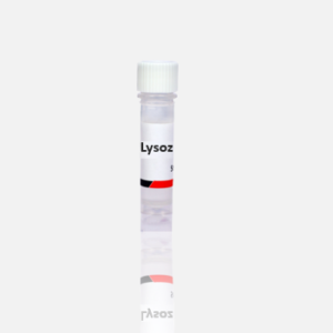 Lysozyme