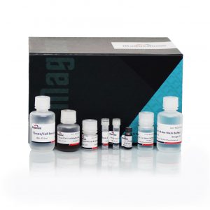 XpressDNA Tissue Kit