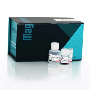 XpressPure PCR Cleanup Kit