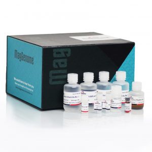 XpressDNA Saliva Kit