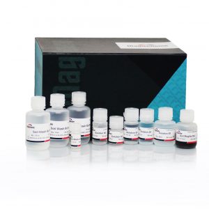 XpressDNA Soil Kit