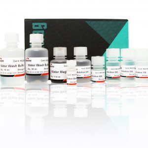 xpressdna water kit