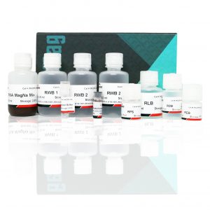 xpressrna-cell-kit